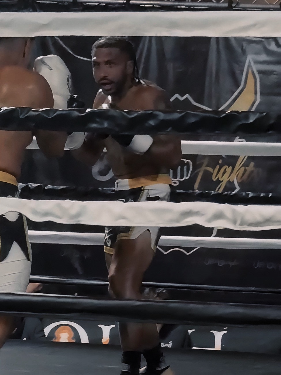 TJ Gentry squared up in the ring, hands up, during a fight